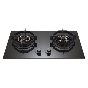 ELECTRO Gas Stove Model ZX-2110