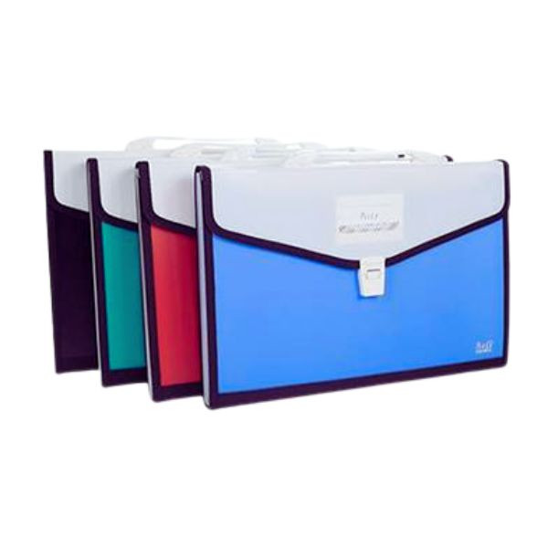 Bili 12 Pockets Expanding File - Multicolor