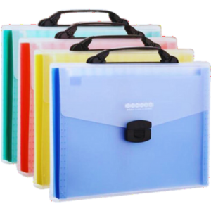 12 Pockets Expanding File Bag